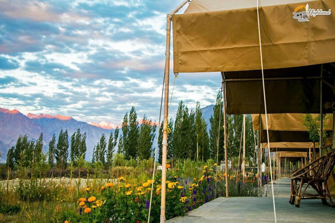 Highland Desert Camp Leh Dış mekan fotoğraf